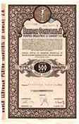 Scripophily Collecting
Central Bank of Cluj 500 lei
[46886 bytes]