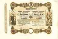 Scripophily Collector
Ciacova Poporal Bank 1000 lei
[35024 bytes]