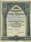 Scripophily Collector
National Industrial Credit Society 10000 lei
[41560 bytes]